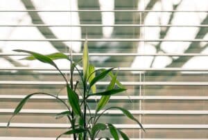 6 tips to quickly clean your window blinds