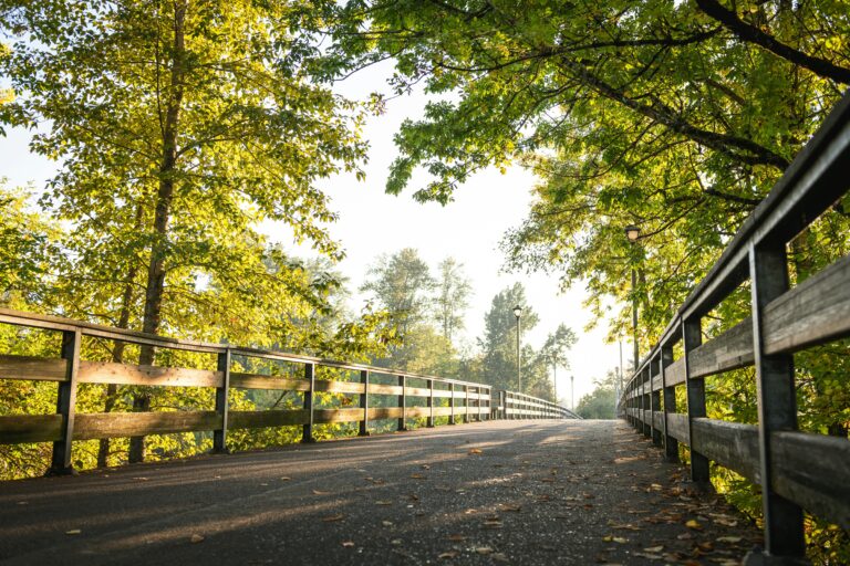 Cleaning in Lake Forest Park