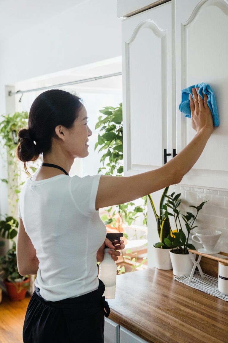 House cleaning in Shoreline