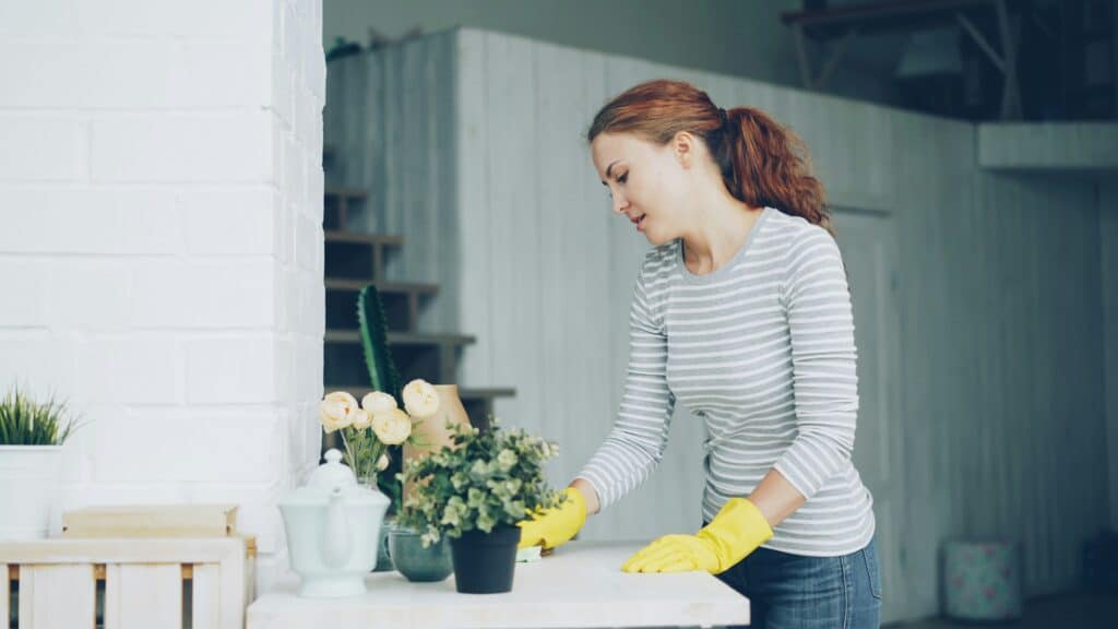 House cleaning Madison Park